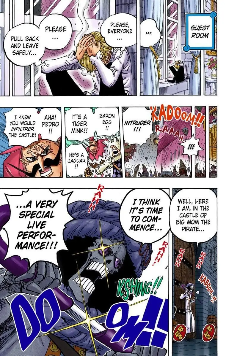 One Piece Digital Colored Chapter 847 image 17